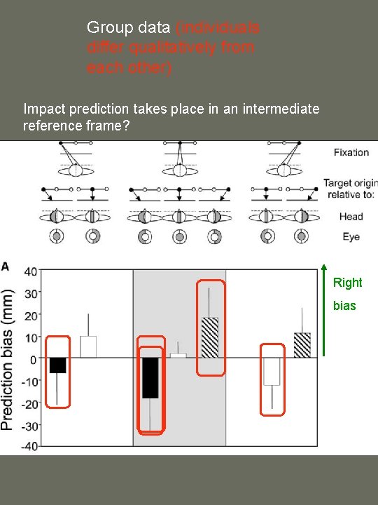 Group data (individuals differ qualitatively from each other) Impact prediction takes place in an