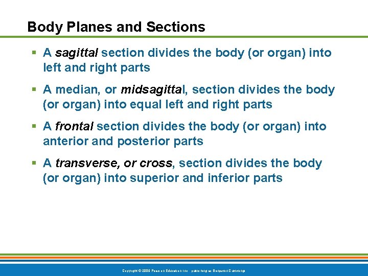Body Planes and Sections § A sagittal section divides the body (or organ) into