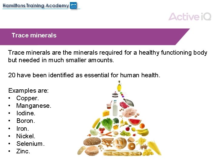 Trace minerals are the minerals required for a healthy functioning body but needed in