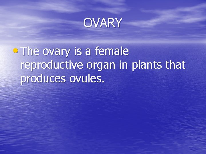 OVARY • The ovary is a female reproductive organ in plants that produces ovules.