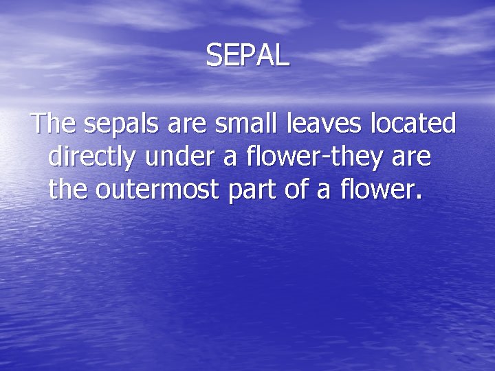 SEPAL The sepals are small leaves located directly under a flower-they are the outermost