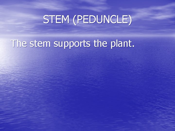 STEM (PEDUNCLE) The stem supports the plant. 