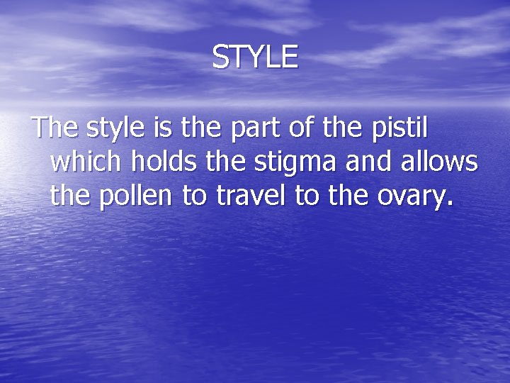 STYLE The style is the part of the pistil which holds the stigma and