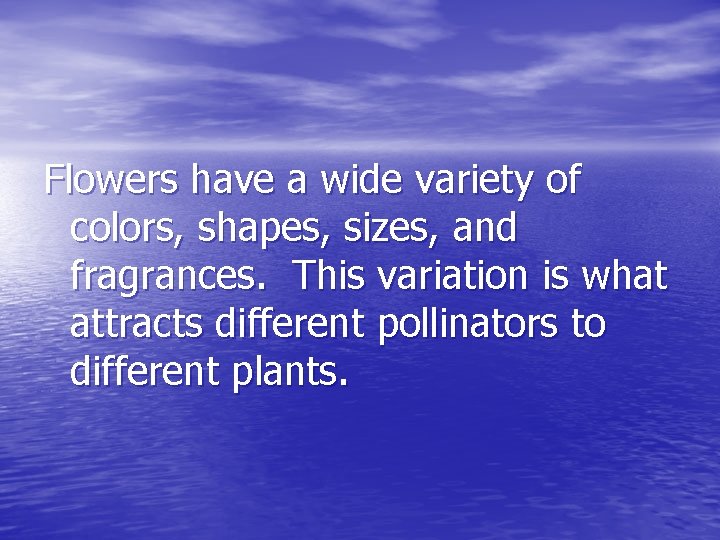 Flowers have a wide variety of colors, shapes, sizes, and fragrances. This variation is