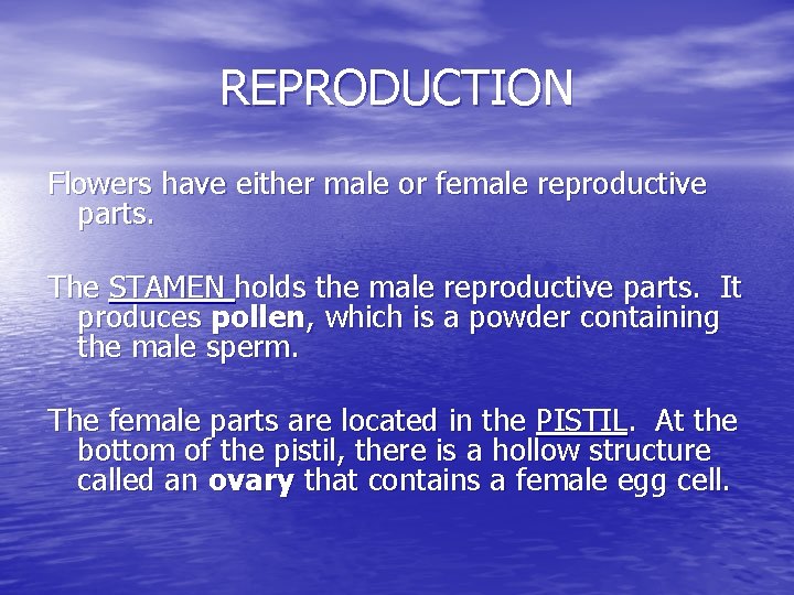 REPRODUCTION Flowers have either male or female reproductive parts. The STAMEN holds the male