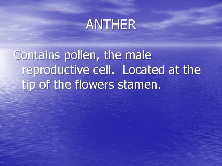 ANTHER Contains pollen, the male reproductive cell. Located at the tip of the flowers