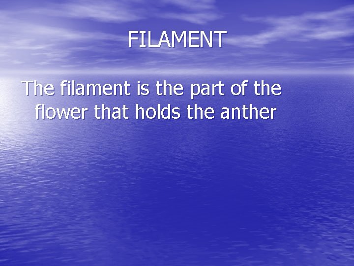 FILAMENT The filament is the part of the flower that holds the anther 