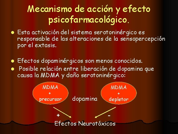 Mecanismo de acción y efecto psicofarmacológico. l Esta activación del sistema serotoninérgico es responsable