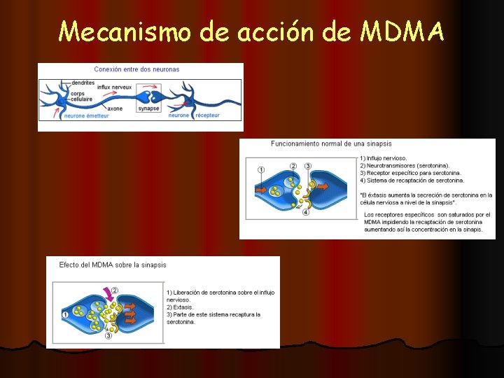 Mecanismo de acción de MDMA 