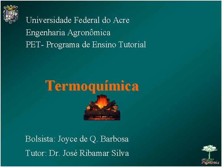 Universidade Federal do Acre Engenharia Agronômica PET- Programa de Ensino Tutorial Termoquímica Bolsista: Joyce