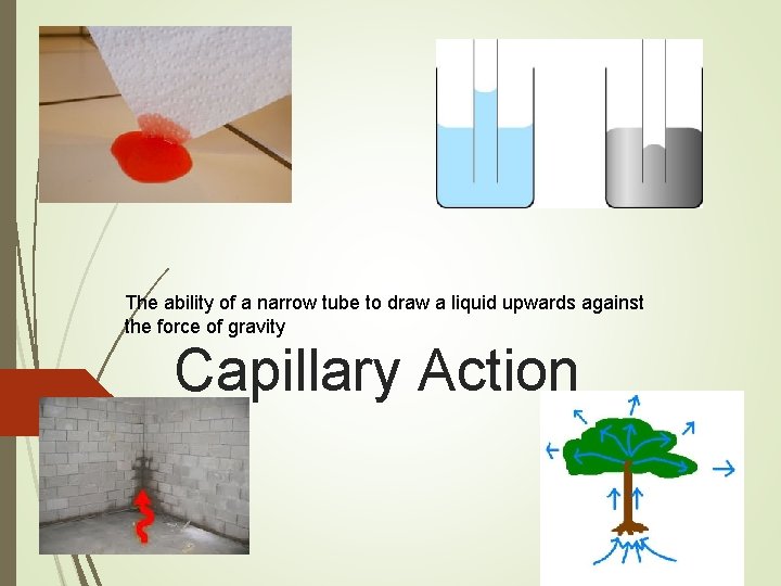 The ability of a narrow tube to draw a liquid upwards against the force