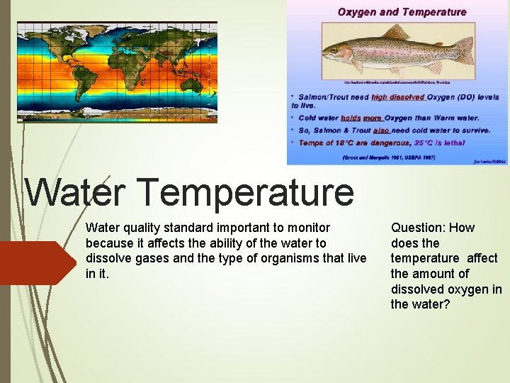 Water Temperature Water quality standard important to monitor because it affects the ability of
