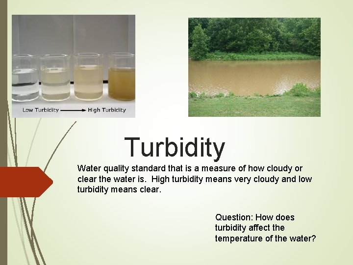 Turbidity Water quality standard that is a measure of how cloudy or clear the
