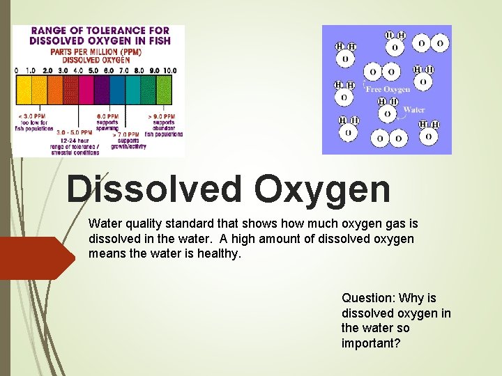 Dissolved Oxygen Water quality standard that shows how much oxygen gas is dissolved in