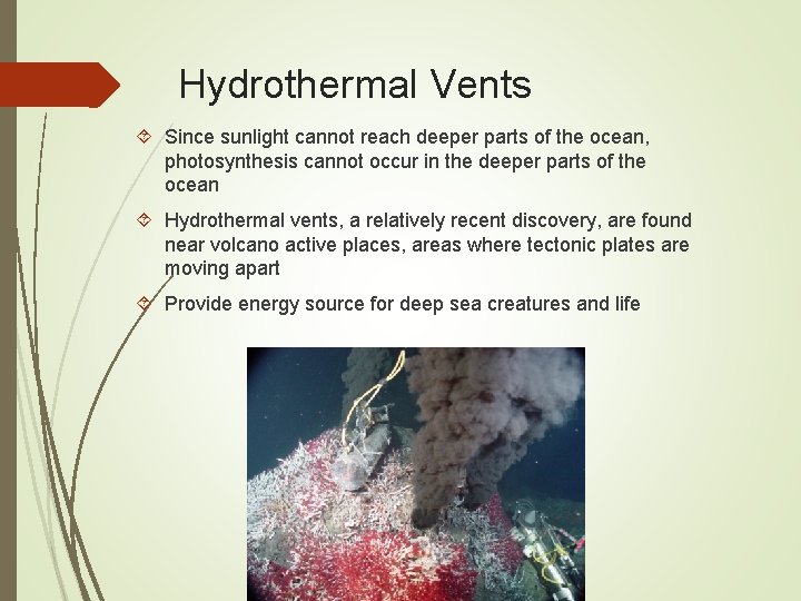 Hydrothermal Vents Since sunlight cannot reach deeper parts of the ocean, photosynthesis cannot occur