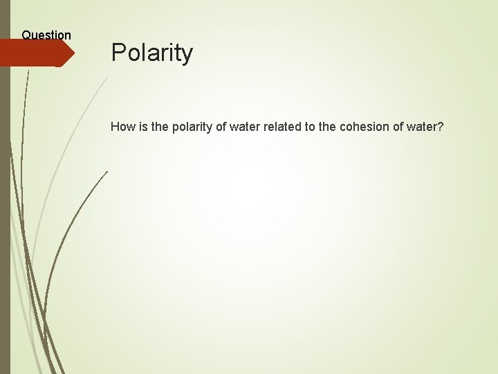 Question Polarity How is the polarity of water related to the cohesion of water?