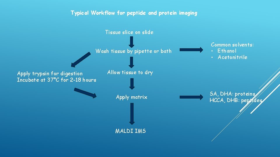 Typical Workflow for peptide and protein imaging Tissue slice on slide Wash tissue by