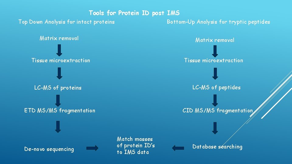 Tools for Protein ID post IMS Top Down Analysis for intact proteins Bottom-Up Analysis