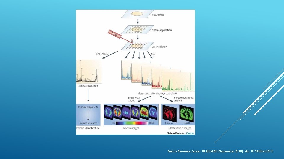 Nature Reviews Cancer 10, 639 -646 (September 2010) | doi: 10. 1038/nrc 2917 