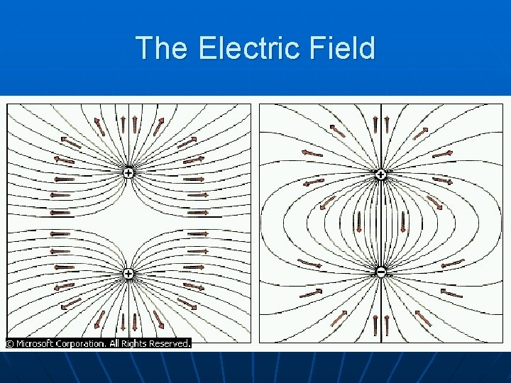 The Electric Field 