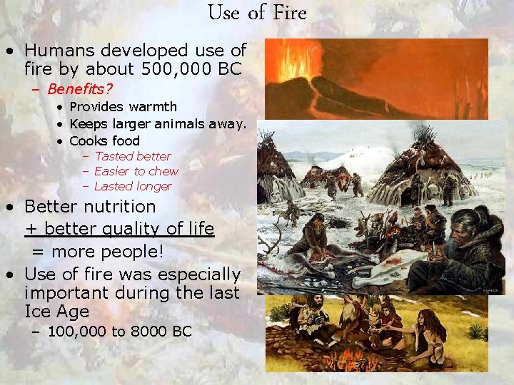 Use of Fire • Humans developed use of fire by about 500, 000 BC