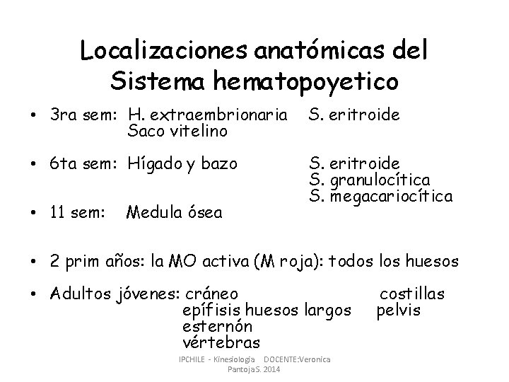 Localizaciones anatómicas del Sistema hematopoyetico • 3 ra sem: H. extraembrionaria Saco vitelino S.