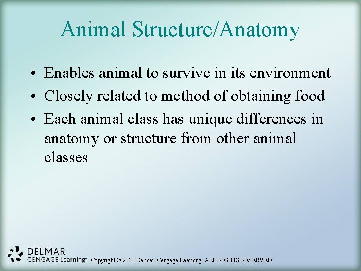 Animal Structure/Anatomy • Enables animal to survive in its environment • Closely related to