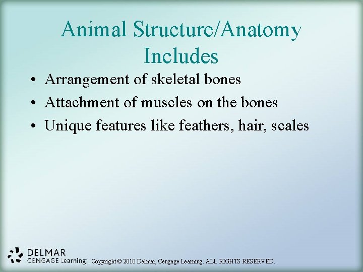 Animal Structure/Anatomy Includes • Arrangement of skeletal bones • Attachment of muscles on the