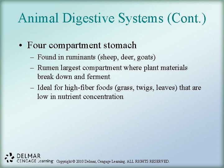 Animal Digestive Systems (Cont. ) • Four compartment stomach – Found in ruminants (sheep,