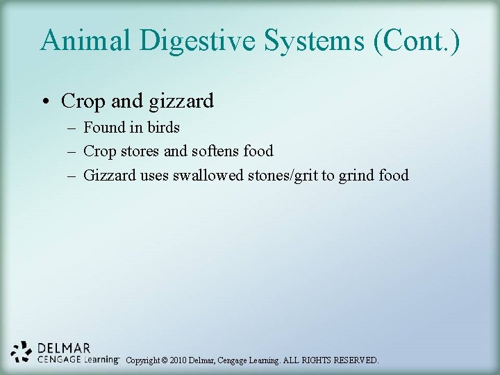 Animal Digestive Systems (Cont. ) • Crop and gizzard – Found in birds –