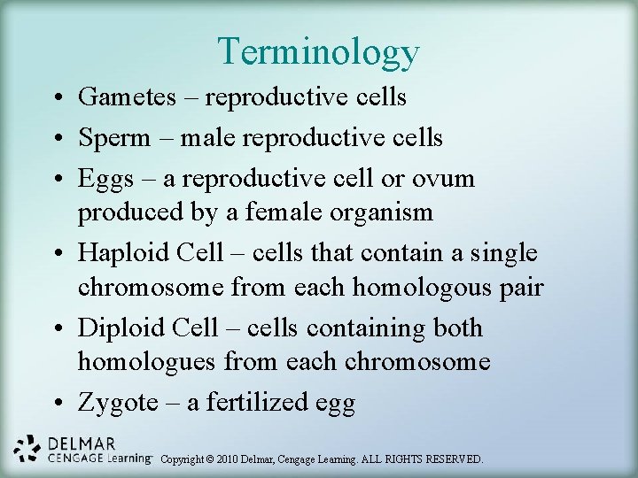Terminology • Gametes – reproductive cells • Sperm – male reproductive cells • Eggs