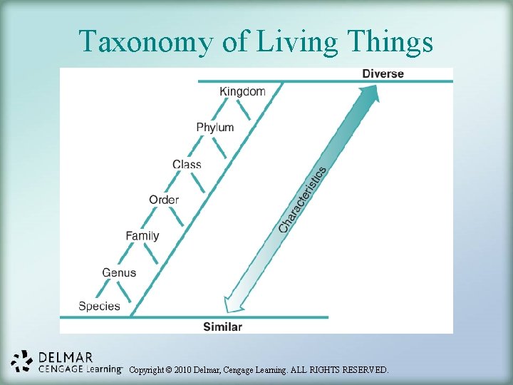 Taxonomy of Living Things Copyright © 2010 Delmar, Cengage Learning. ALL RIGHTS RESERVED. 