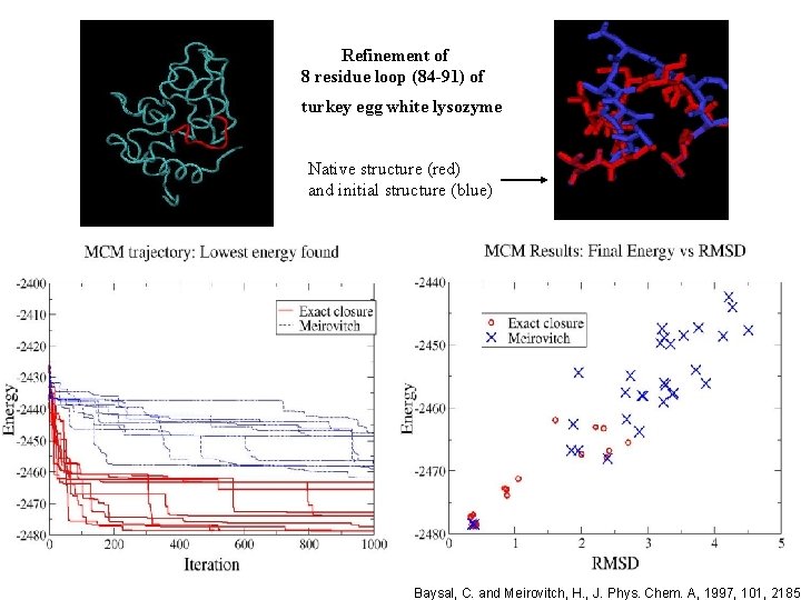 Refinement of 8 residue loop (84 -91) of turkey egg white lysozyme Native structure