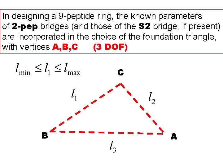 In designing a 9 -peptide ring, the known parameters of 2 -pep bridges (and