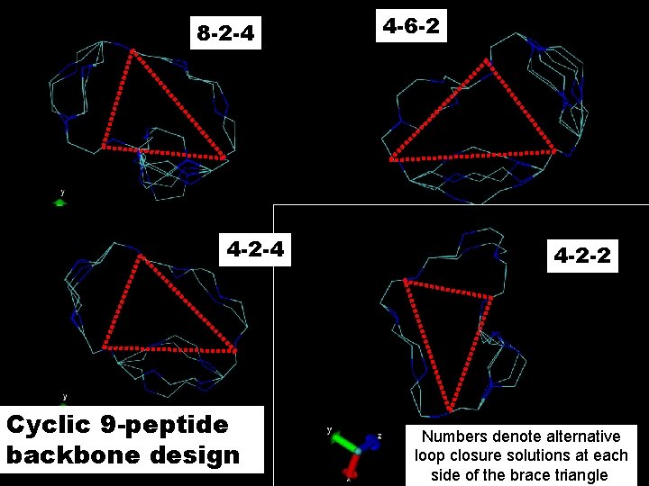 8 -2 -4 4 -2 -4 Cyclic 9 -peptide backbone design 4 -6 -2