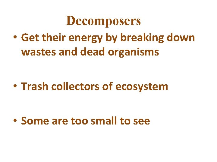 Decomposers • Get their energy by breaking down wastes and dead organisms • Trash