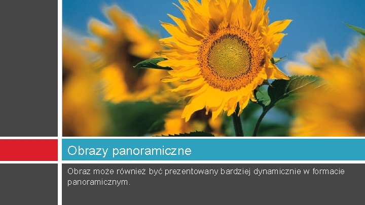 Obrazy panoramiczne Obraz może również być prezentowany bardziej dynamicznie w formacie panoramicznym. 