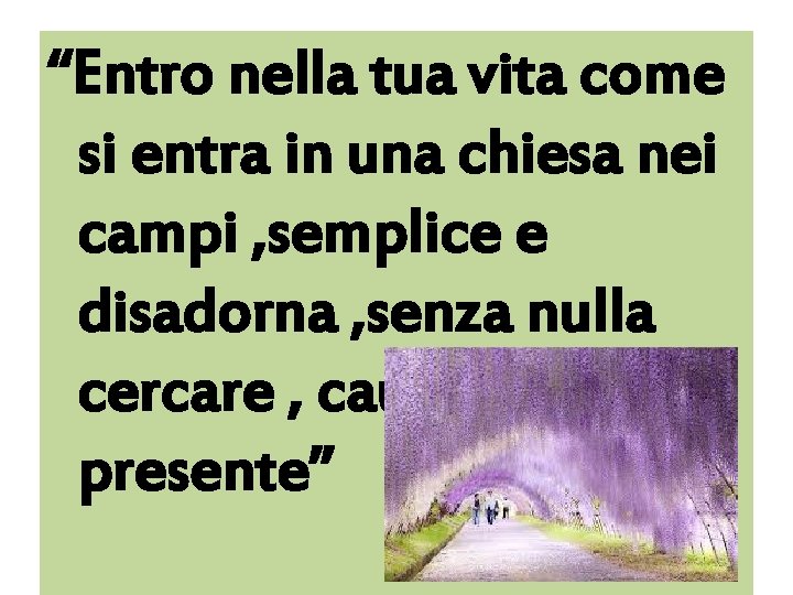 “Entro nella tua vita come si entra in una chiesa nei campi , semplice