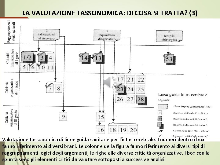 LA VALUTAZIONE TASSONOMICA: DI COSA SI TRATTA? (3) Valutazione tassonomica di linee guida sanitarie