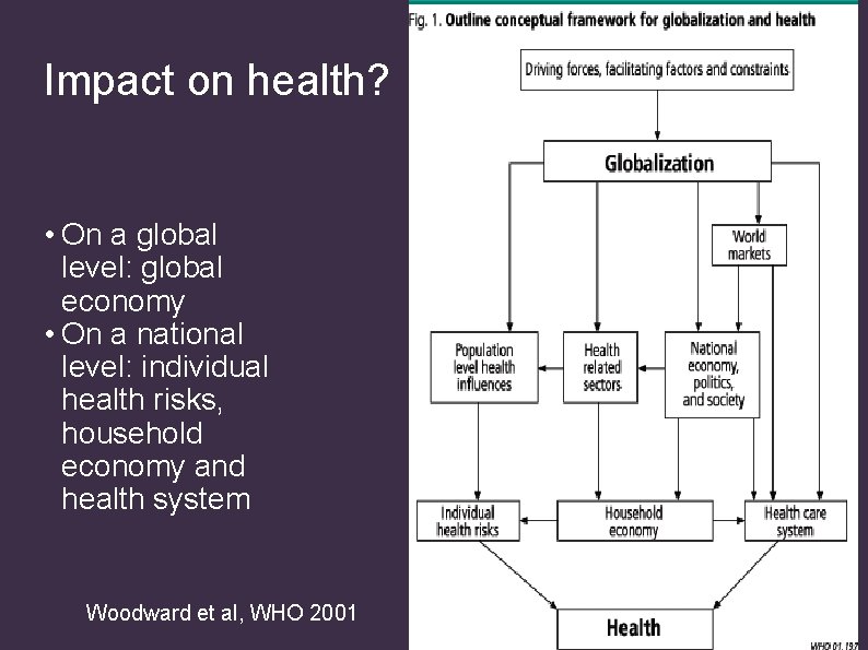 Impact on health? • On a global level: global economy • On a national