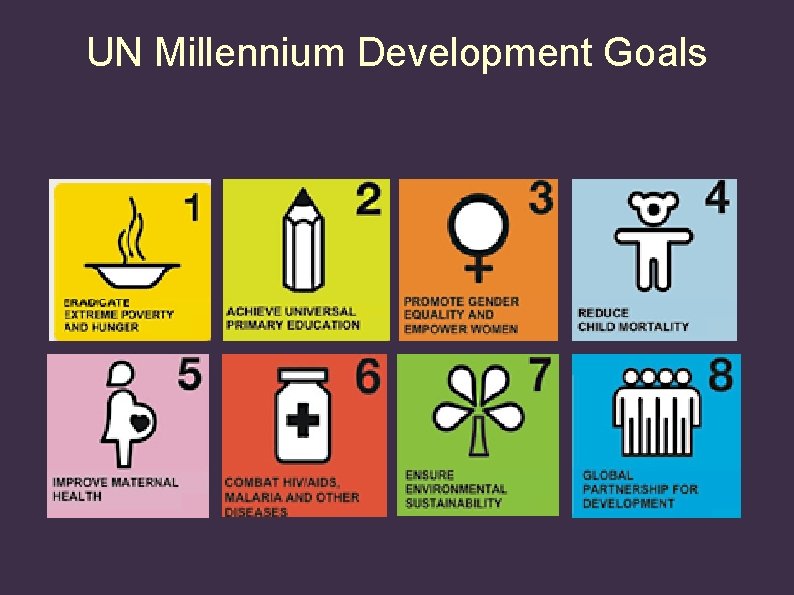 UN Millennium Development Goals 