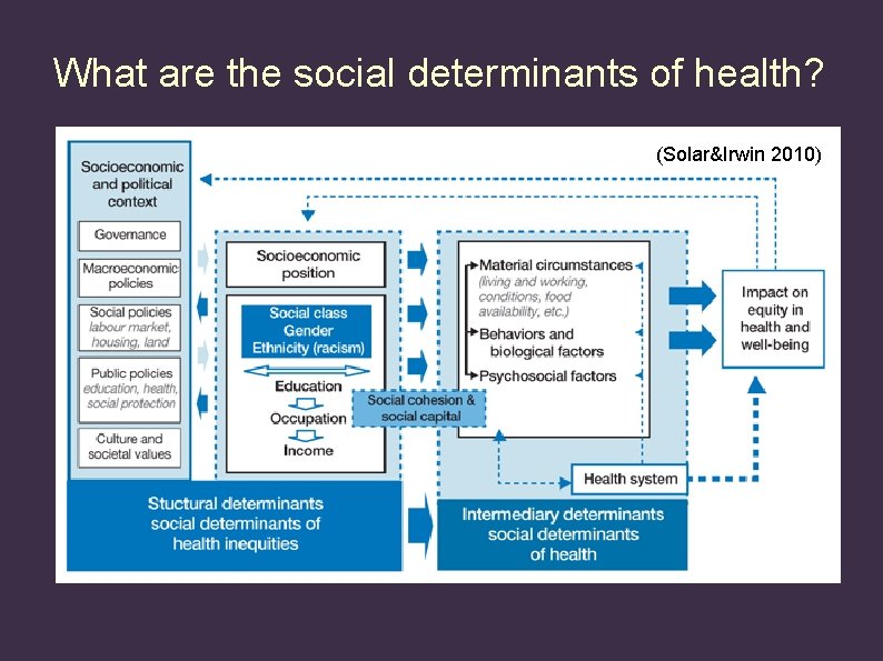 What are the social determinants of health? (Solar&Irwin 2010) 