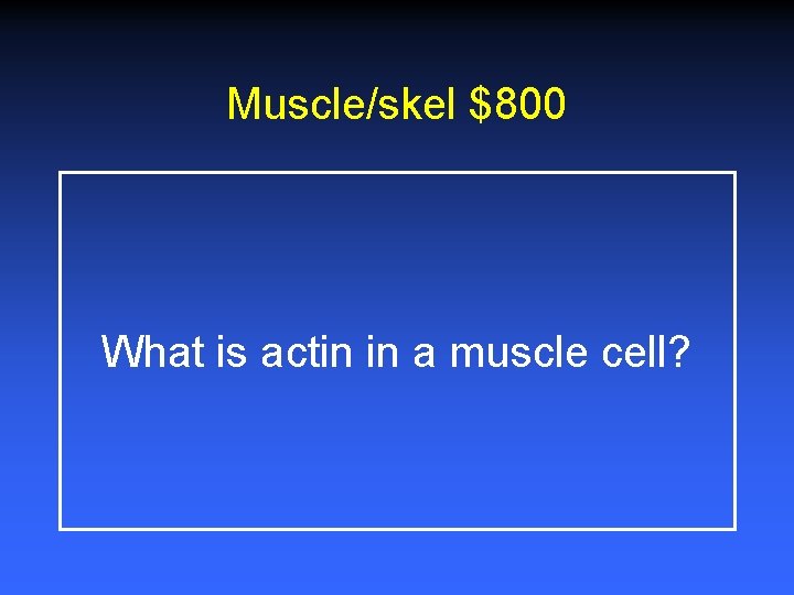 Muscle/skel $800 What is actin in a muscle cell? 