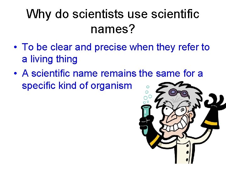 Why do scientists use scientific names? • To be clear and precise when they