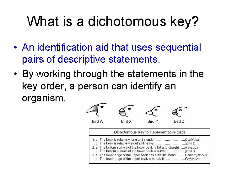 What is a dichotomous key? • An identification aid that uses sequential pairs of