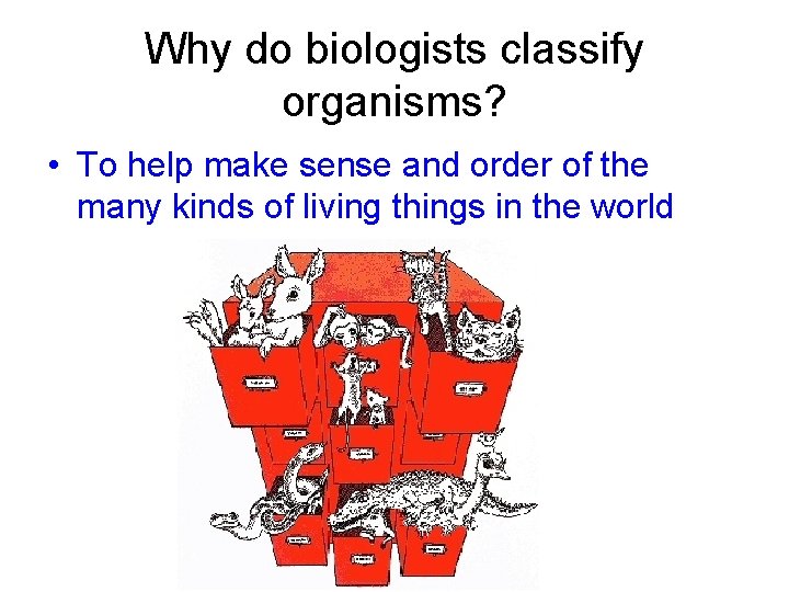 Why do biologists classify organisms? • To help make sense and order of the