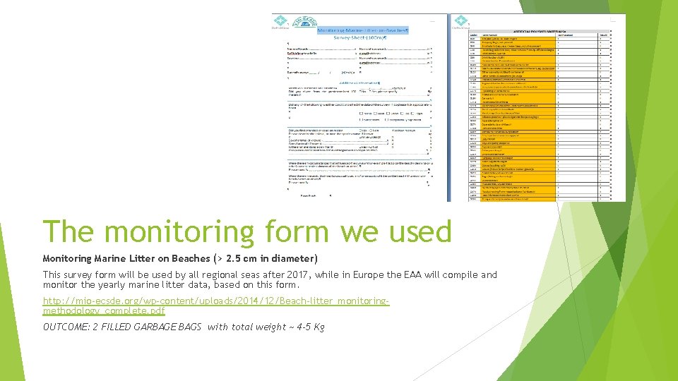 The monitoring form we used Monitoring Marine Litter on Beaches (> 2. 5 cm