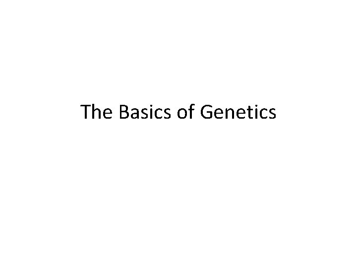 The Basics of Genetics 