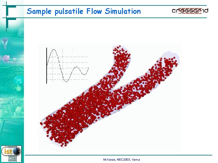 Sample pulsatile Flow Simulation M. Kunze, NEC 2003, Varna 