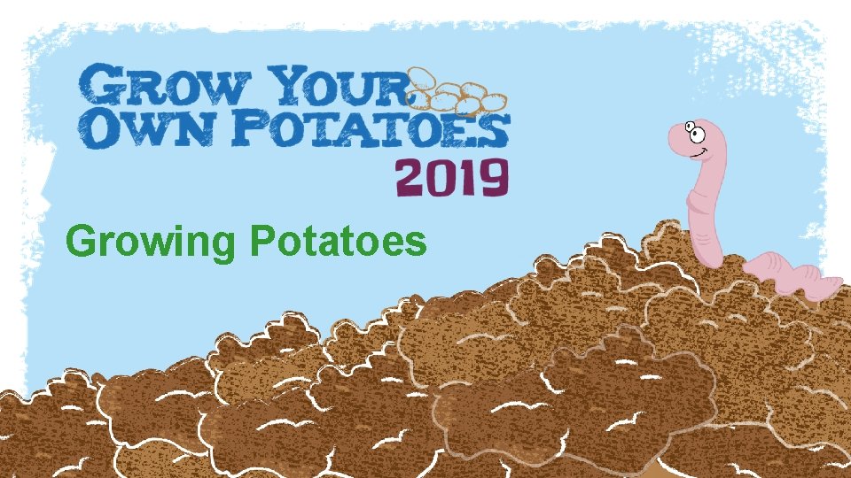 Growing Potatoes 